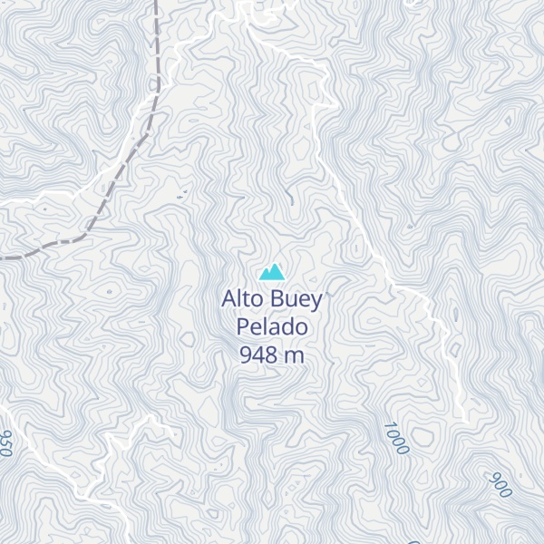Map of Alto Buey Pelado