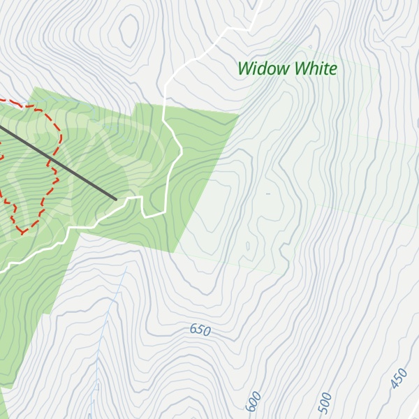 Map of Widow Whites Peak