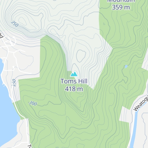 Map of Toms Hill