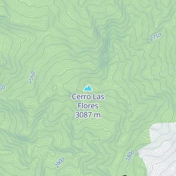 Map of Cerro Las Flores
