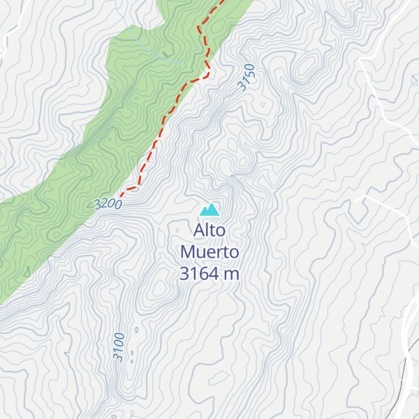 Map of Alto Muerto