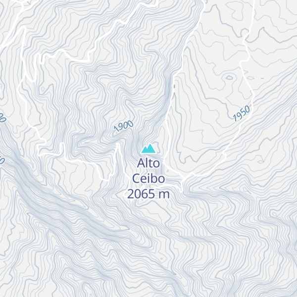Map of Alto Ceibo