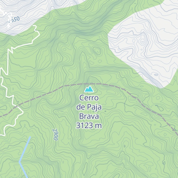 Map of Cerro de Paja Brava