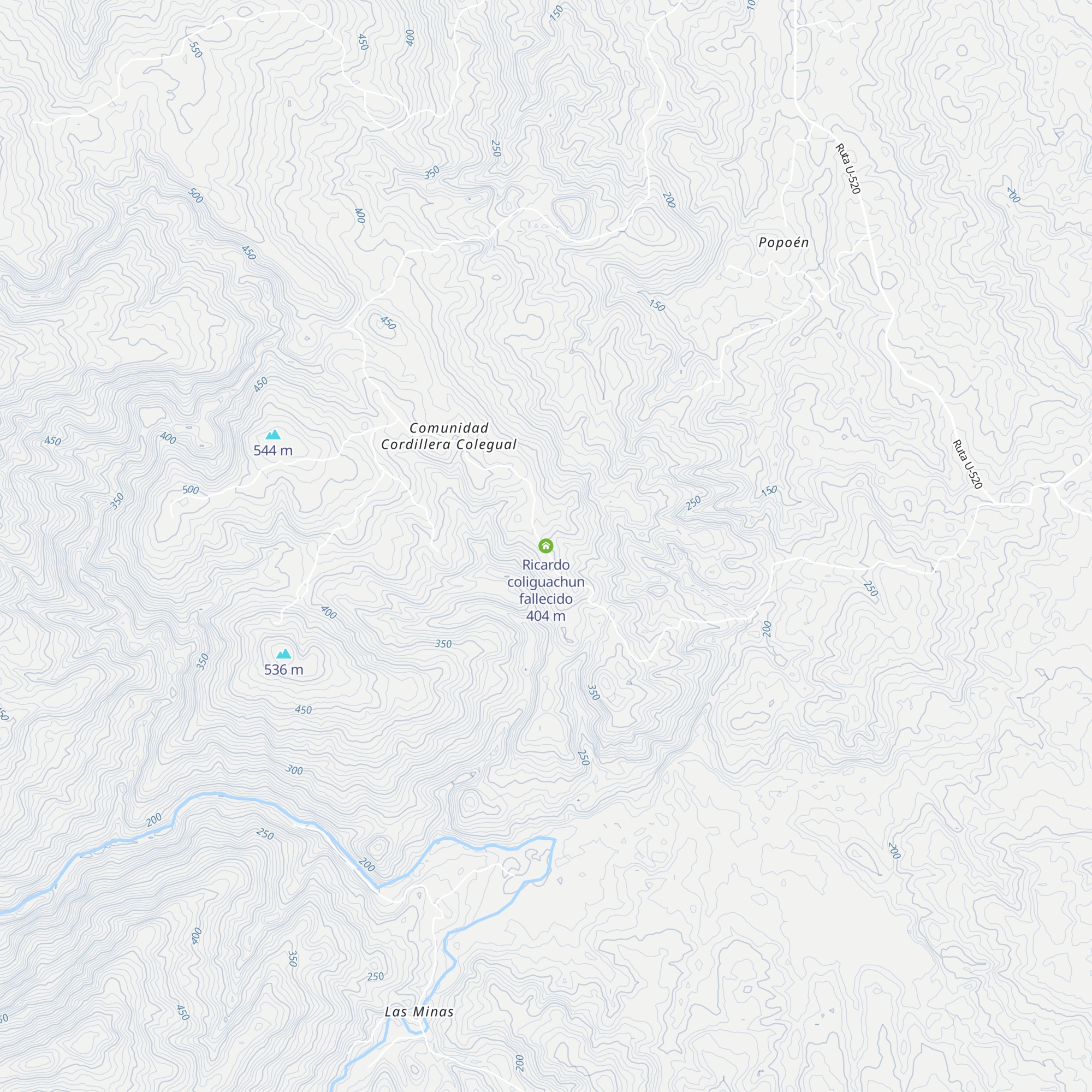 Ricardo coliguachun fallecido map