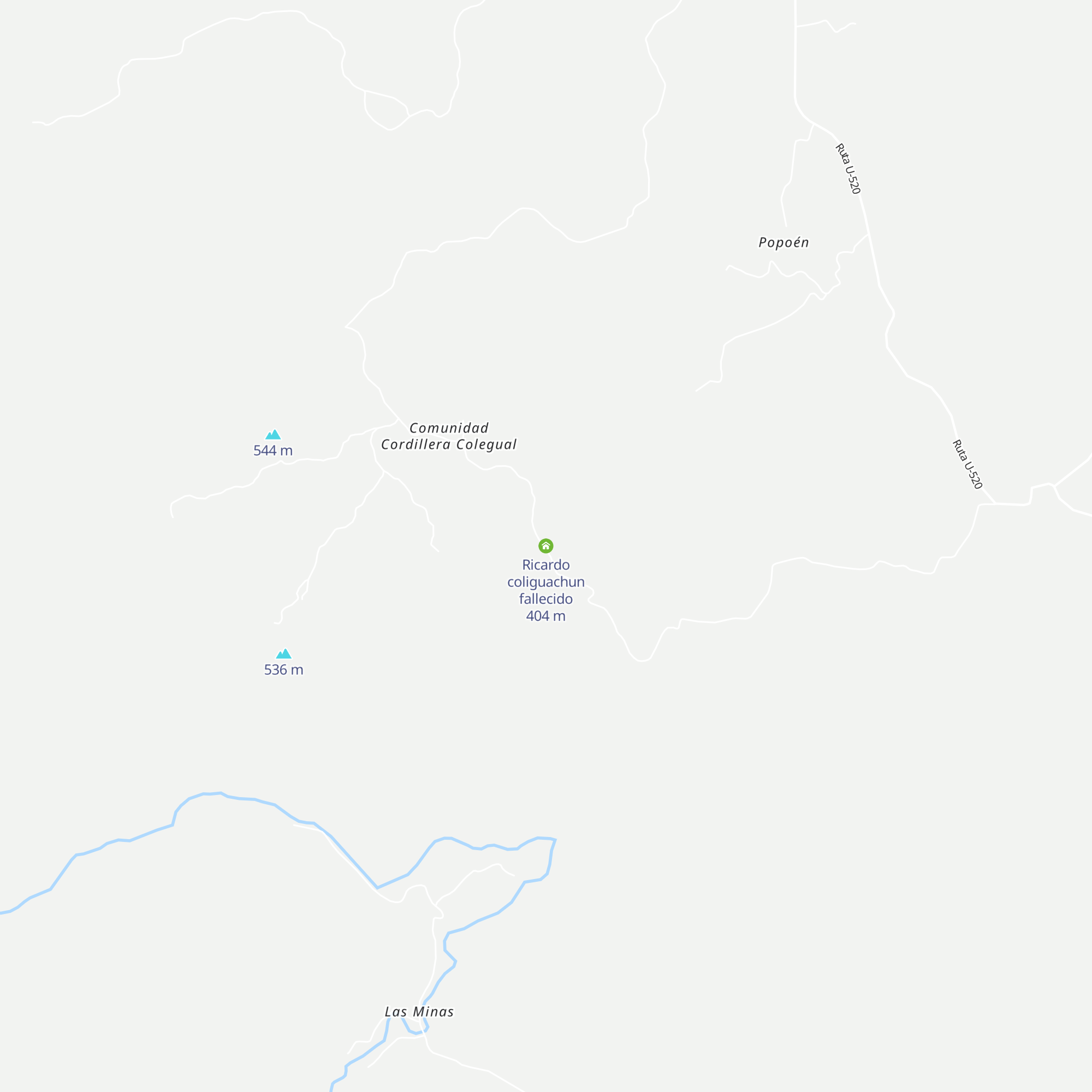 Ricardo coliguachun fallecido map