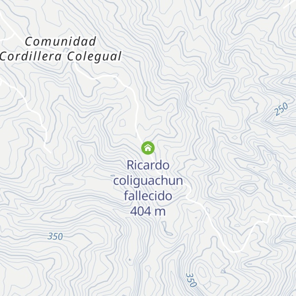 Map of Ricardo coliguachun fallecido