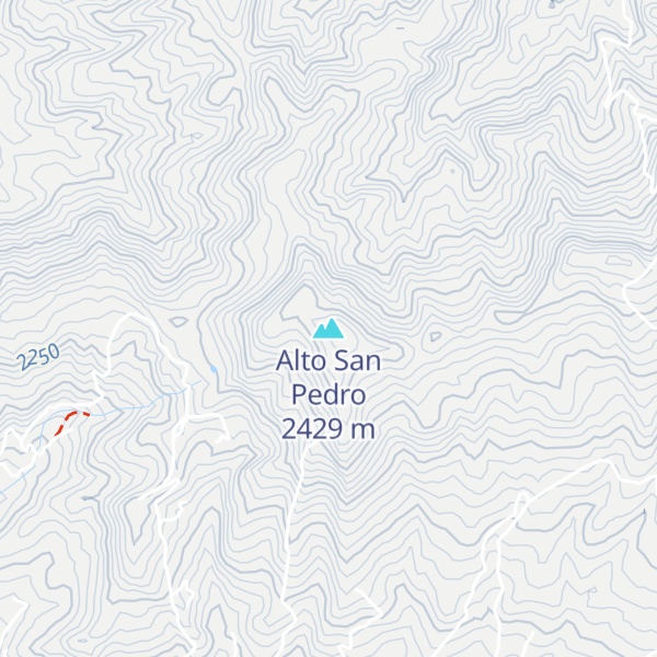 Map of Alto San Pedro