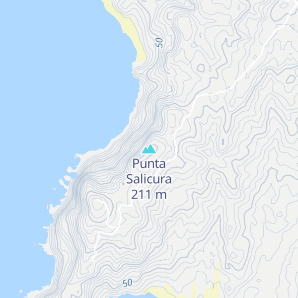 Map of Punta Salicura