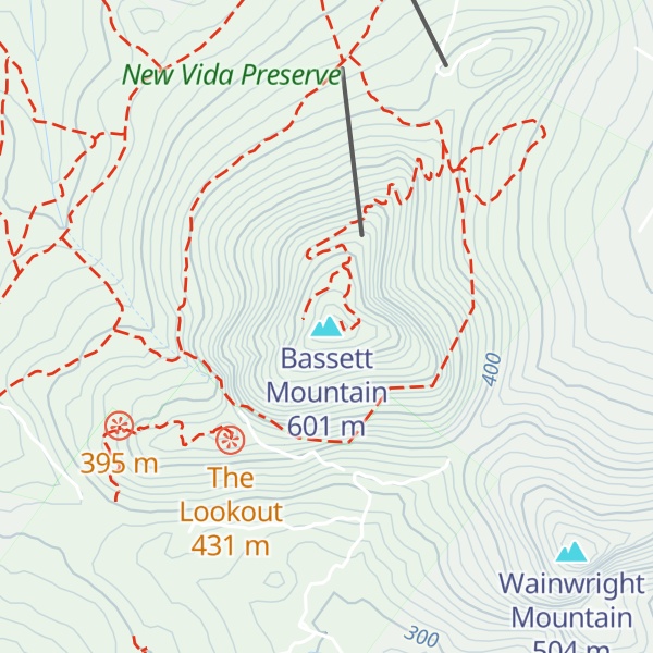 Map of Bassett Mountain