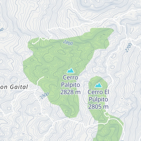 Map of Cerro Palpito