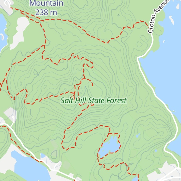 Map of Salt Hill