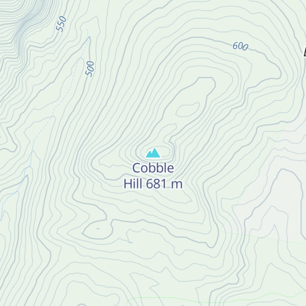 Map of Cobble Hill