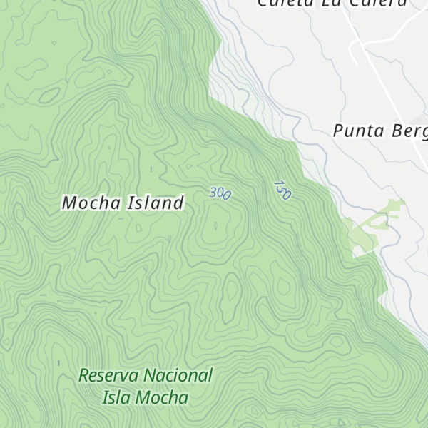 Map of Cerro de los Bueyes
