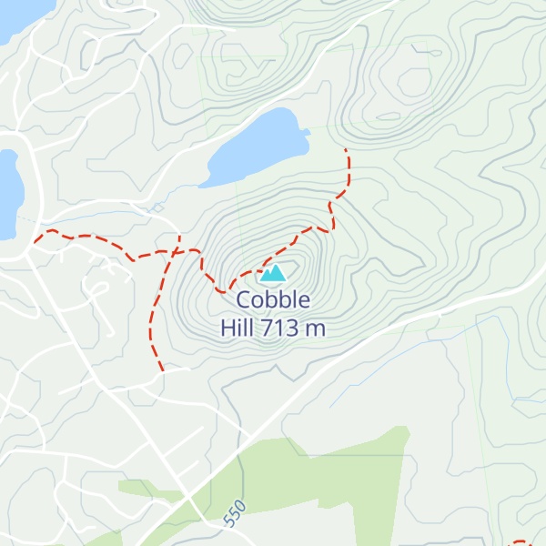 Map of Cobble Hill