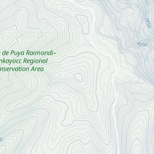 Map of Cerro Buenavista