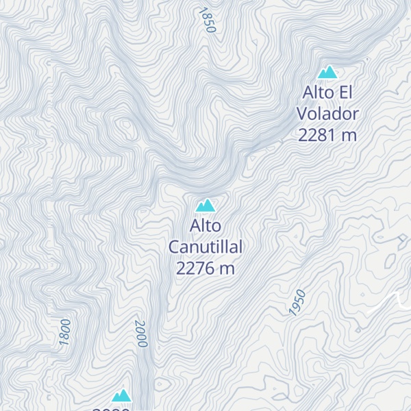Map of Alto Canutillal