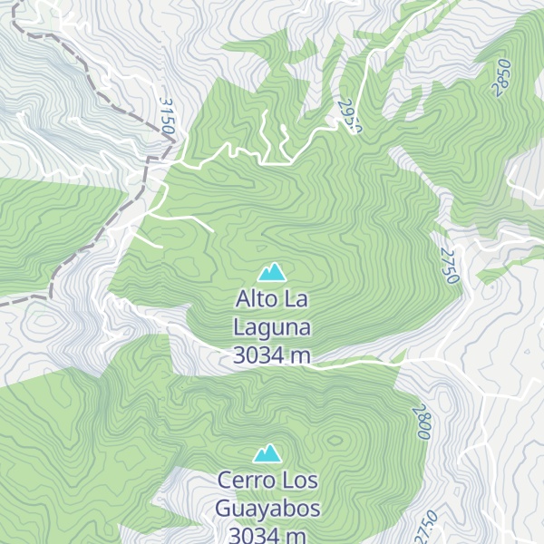 Map of Alto La Laguna