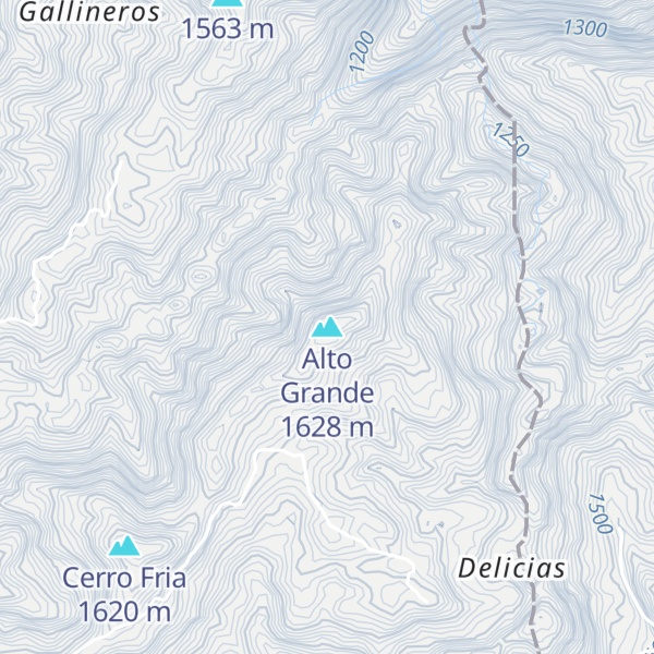 Map of Alto Grande