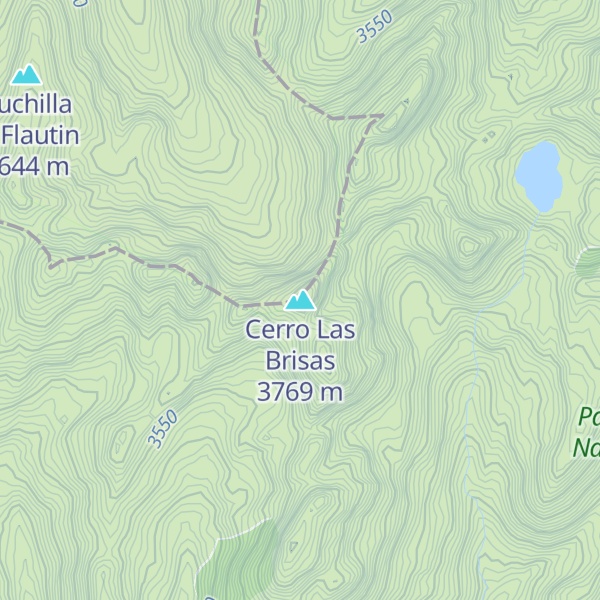Map of Cerro Las Brisas