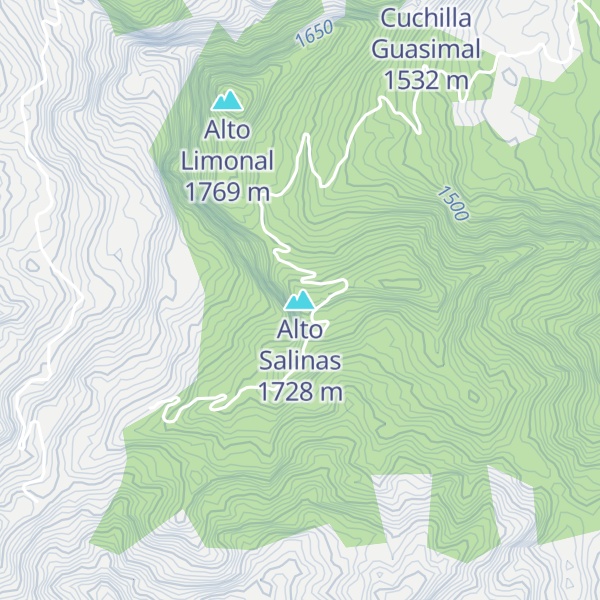 Map of Alto Salinas