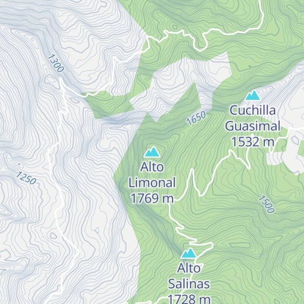 Map of Alto Limonal