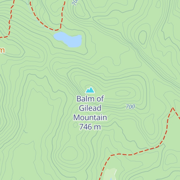 Map of Balm of Gilead Mountain