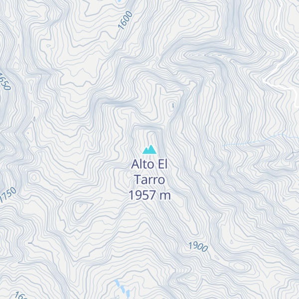 Map of Alto El Tarro