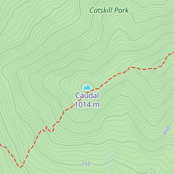 Map of Caudal