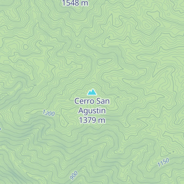 Map of Cerro San Agustin