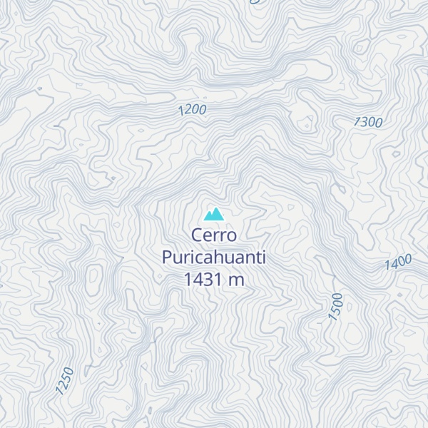 Map of Cerro Puricahuanti