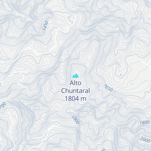 Map of Alto Chuntaral