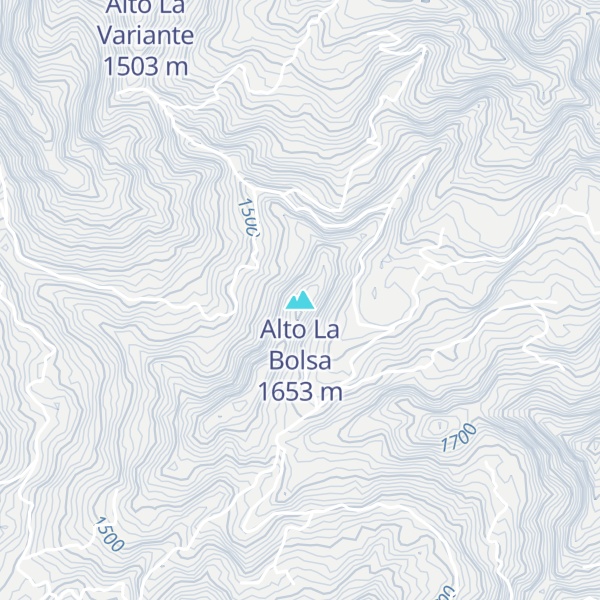 Map of Alto La Bolsa