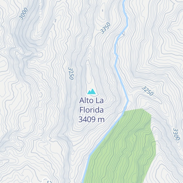 Map of Alto La Florida