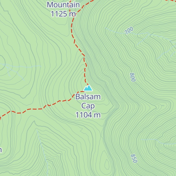 Map of Balsam Cap