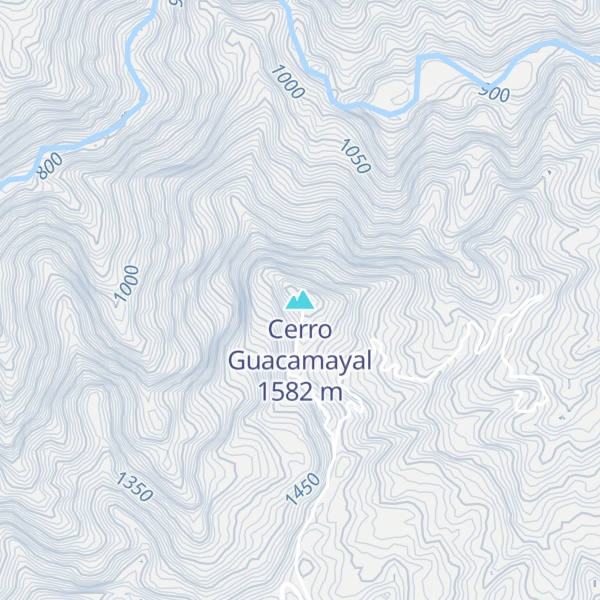 Map of Cerro Guacamayal