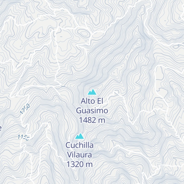 Map of Alto El Guasimo