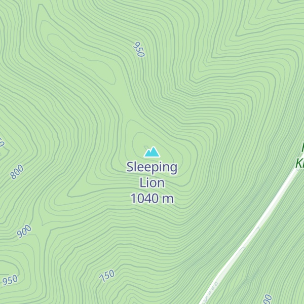 Map of Sleeping Lion