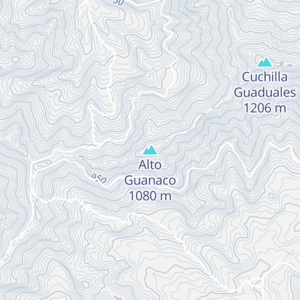 Map of Alto Guanaco