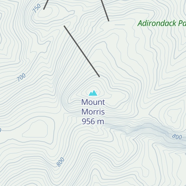 Map of Mount Morris