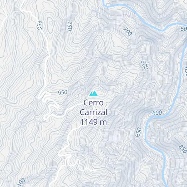 Map of Cerro Carrizal
