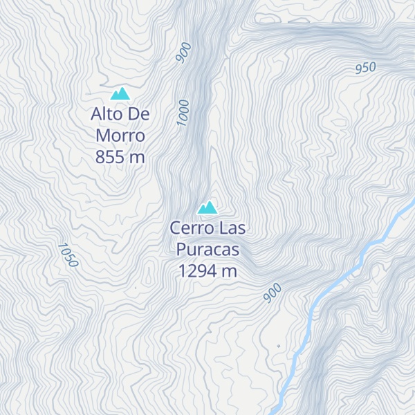 Map of Cerro Las Puracas