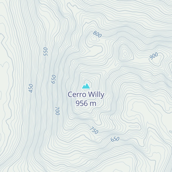 Map of Cerro Willy