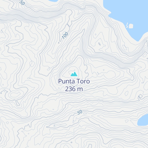 Map of Punta Toro