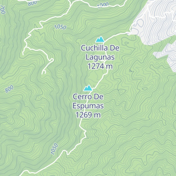Map of Cerro De Espumas