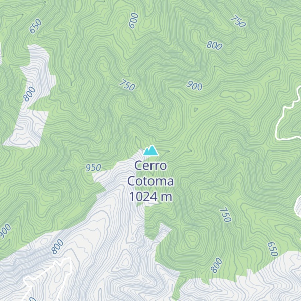 Map of Cerro Cotoma
