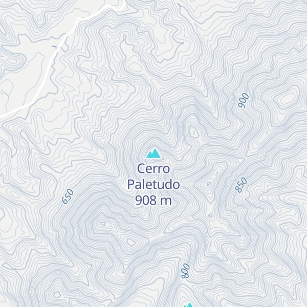 Map of Cerro Paletudo