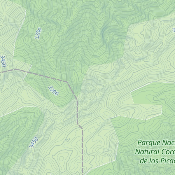 Map of Cerro Leiva