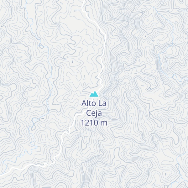 Map of Alto La Ceja