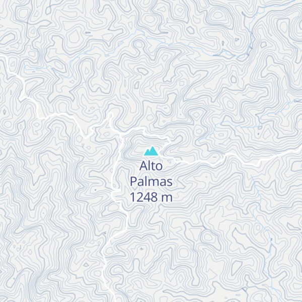 Map of Alto Palmas