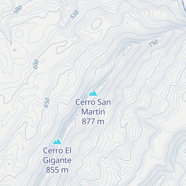 Map of Cerro San Martín